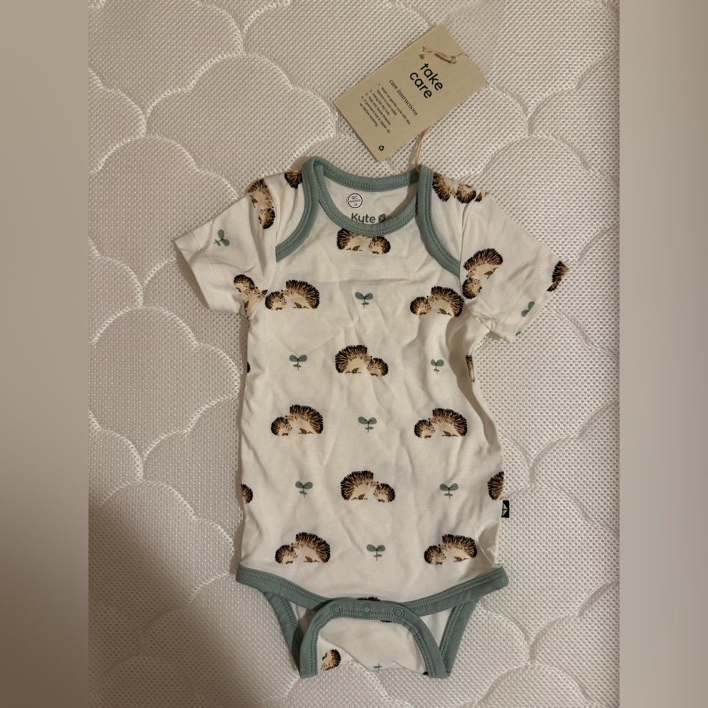 Kyte BABY Cream and Green Hedgehog Bodysuit